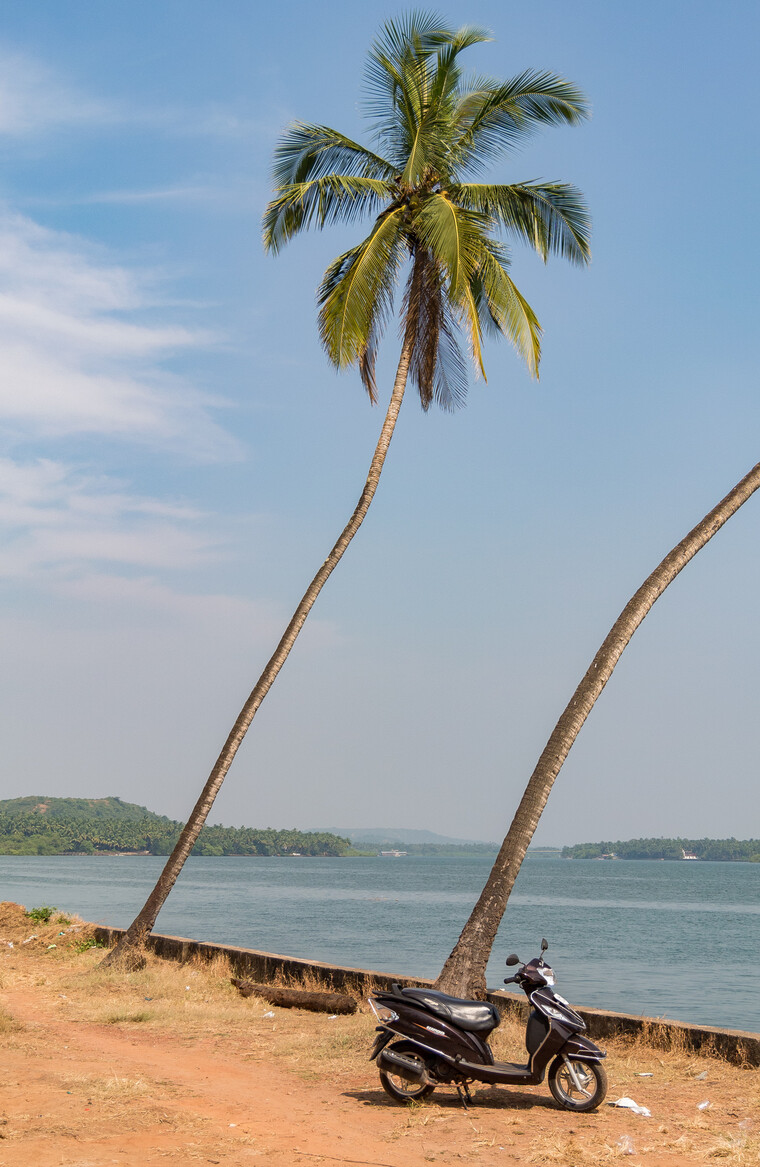 India 2014 - Goa 019.jpg